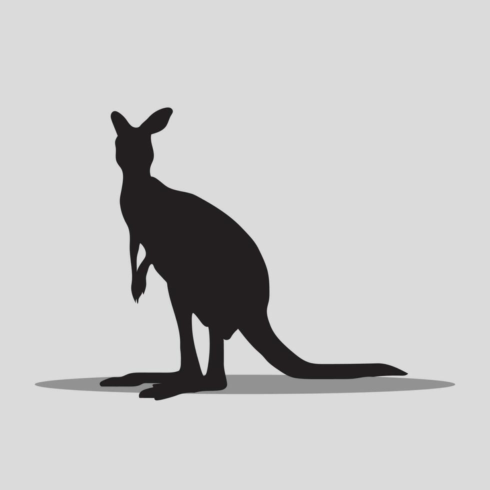Kangaroo vector image