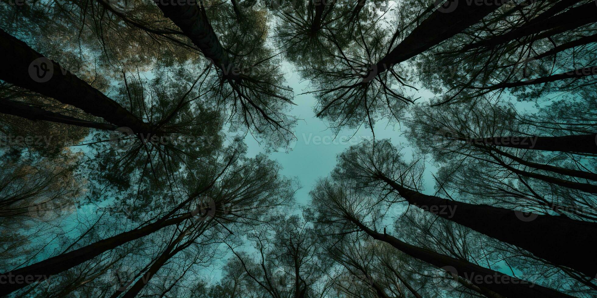 AI Generated. AI Generative. Nature wild outdoor forest trees looking up view with sunny ray. Adventure travel trekking inspiration. Graphic Art photo