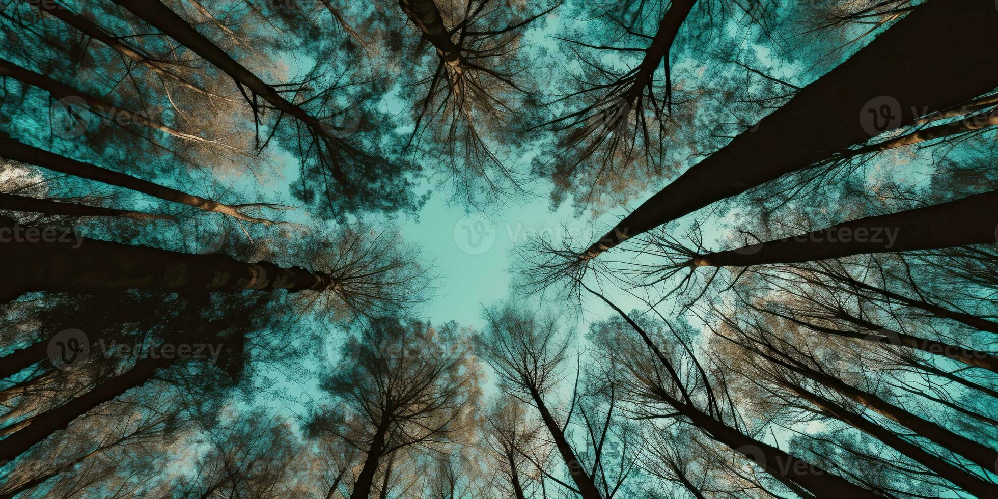 AI Generated. AI Generative. Nature wild outdoor forest trees looking up view with sunny ray. Adventure travel trekking inspiration. Graphic Art photo