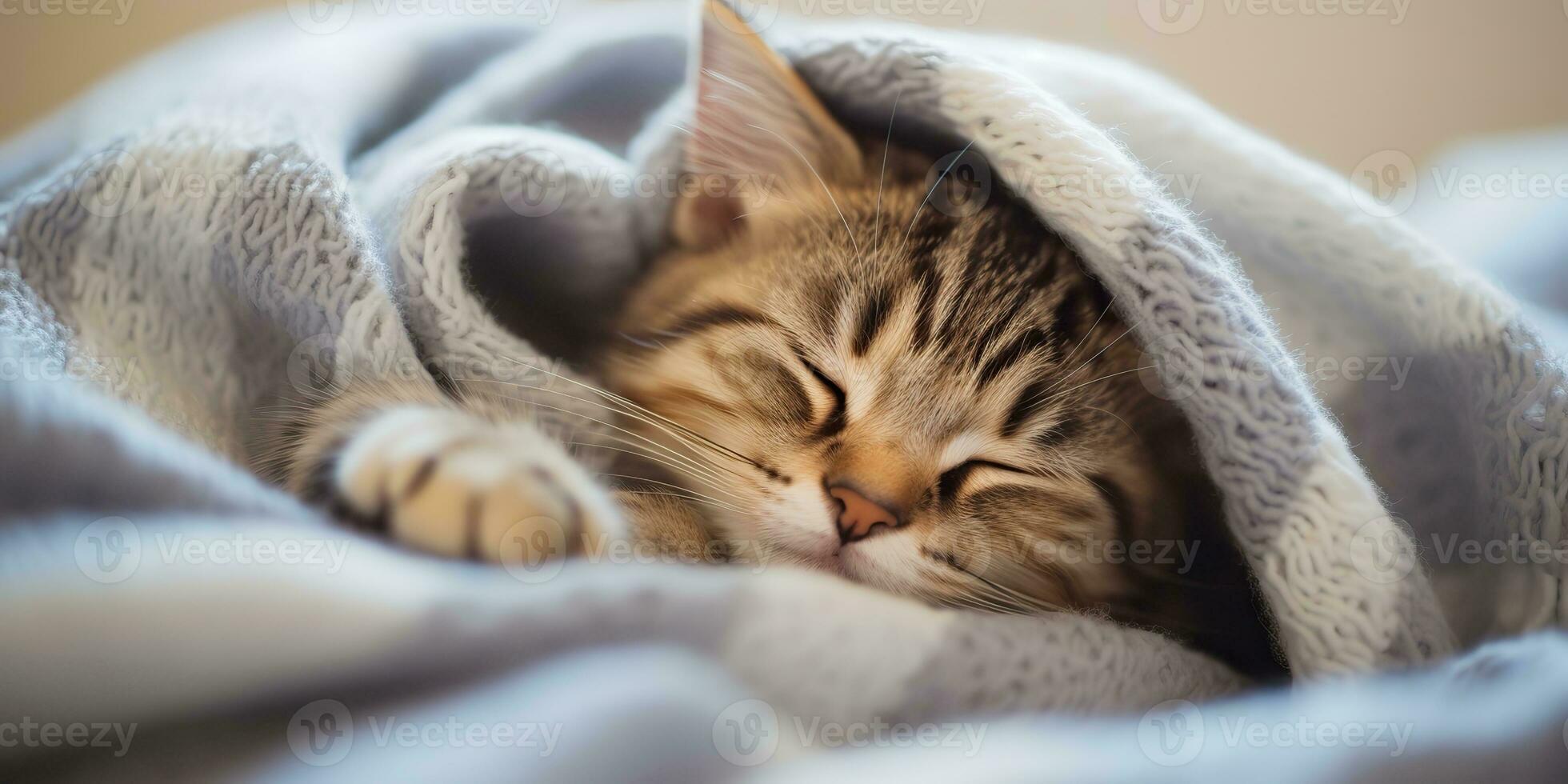 ai generado. ai generativo. acogedor gracioso gato dormido debajo calentar  frazada. hogar frío antecedentes. gráfico Arte 29468933 Foto de stock en  Vecteezy