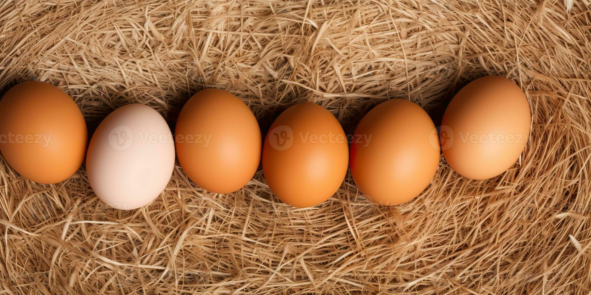 AI Generated. AI Generative. Eco organic chicken hen eggs template background mock up. Graphic Art photo