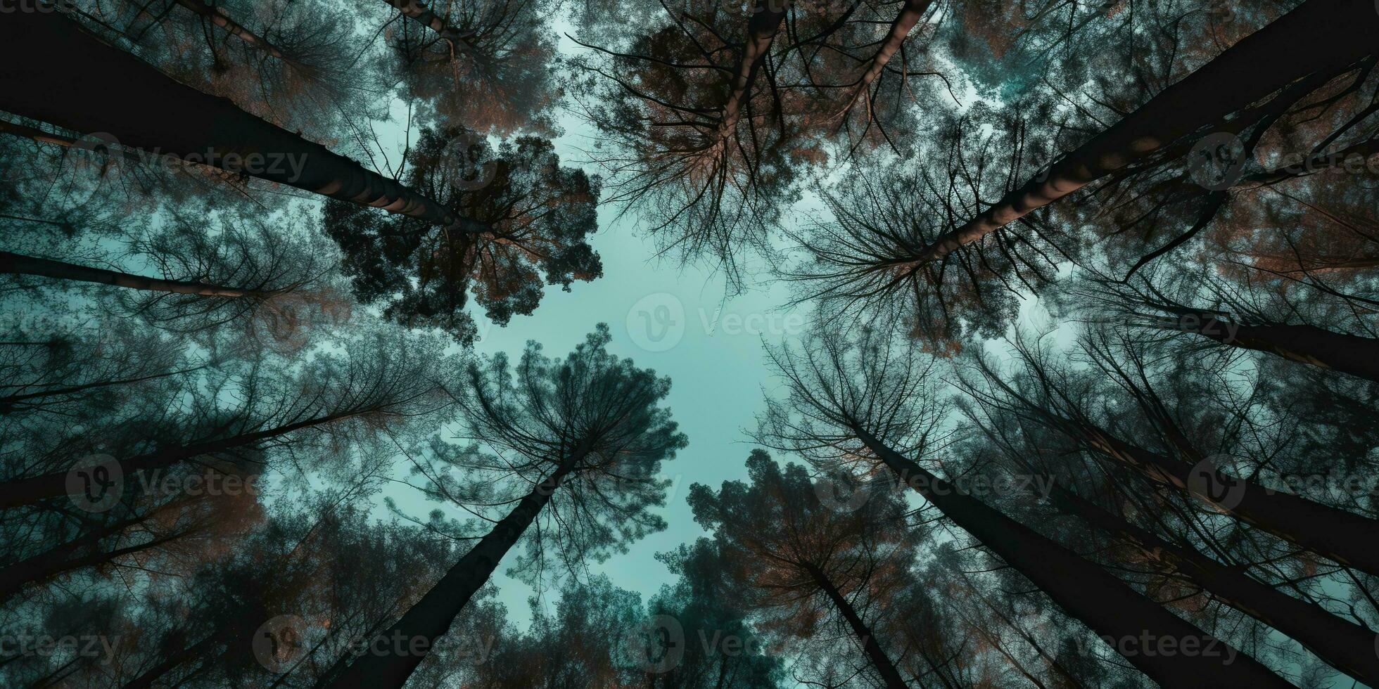 AI Generated. AI Generative. Nature wild outdoor forest trees looking up view with sunny ray. Adventure travel trekking inspiration. Graphic Art photo