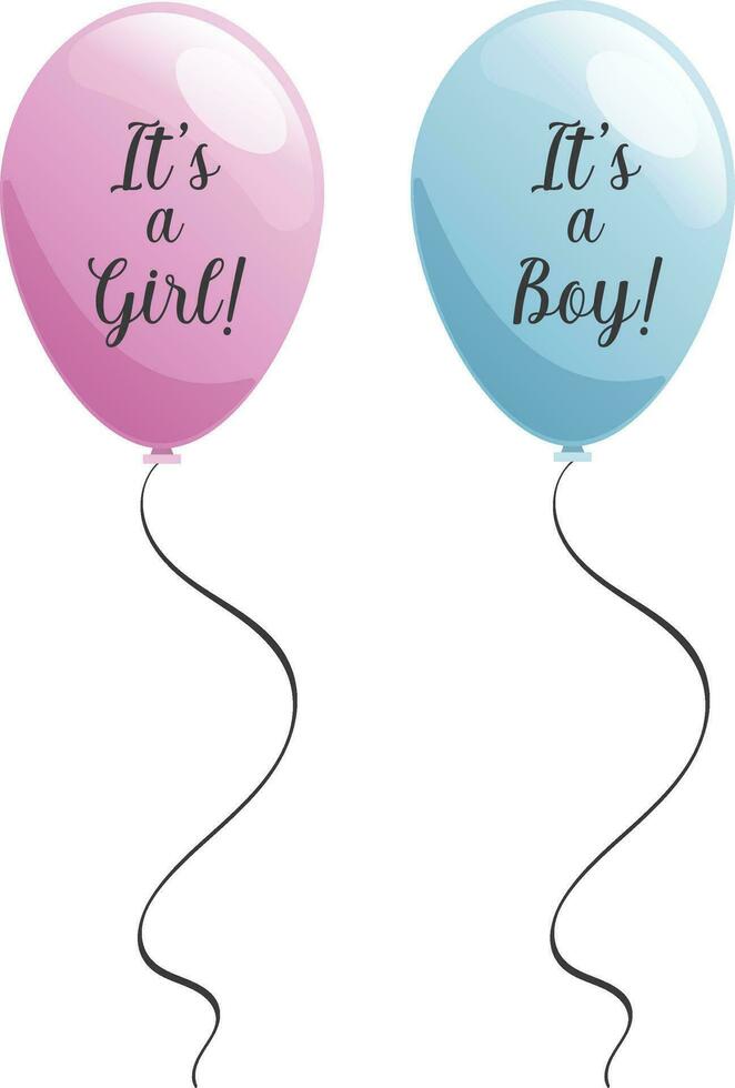 Circle shaped pink and blue balloons with girl or boy text for gender reveal party isolated vector