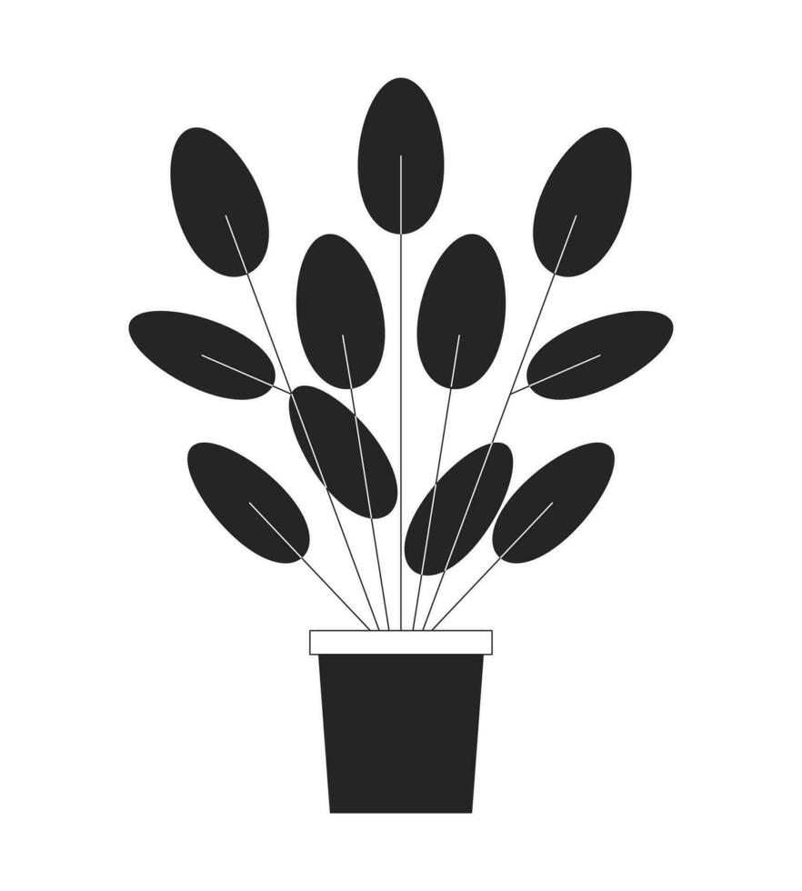 redondo hoja planta de casa negro y blanco 2d línea dibujos animados objeto. pilea peperomioides en conserva planta aislado vector contorno artículo. tropical follaje. chino dinero planta monocromo plano Mancha ilustración