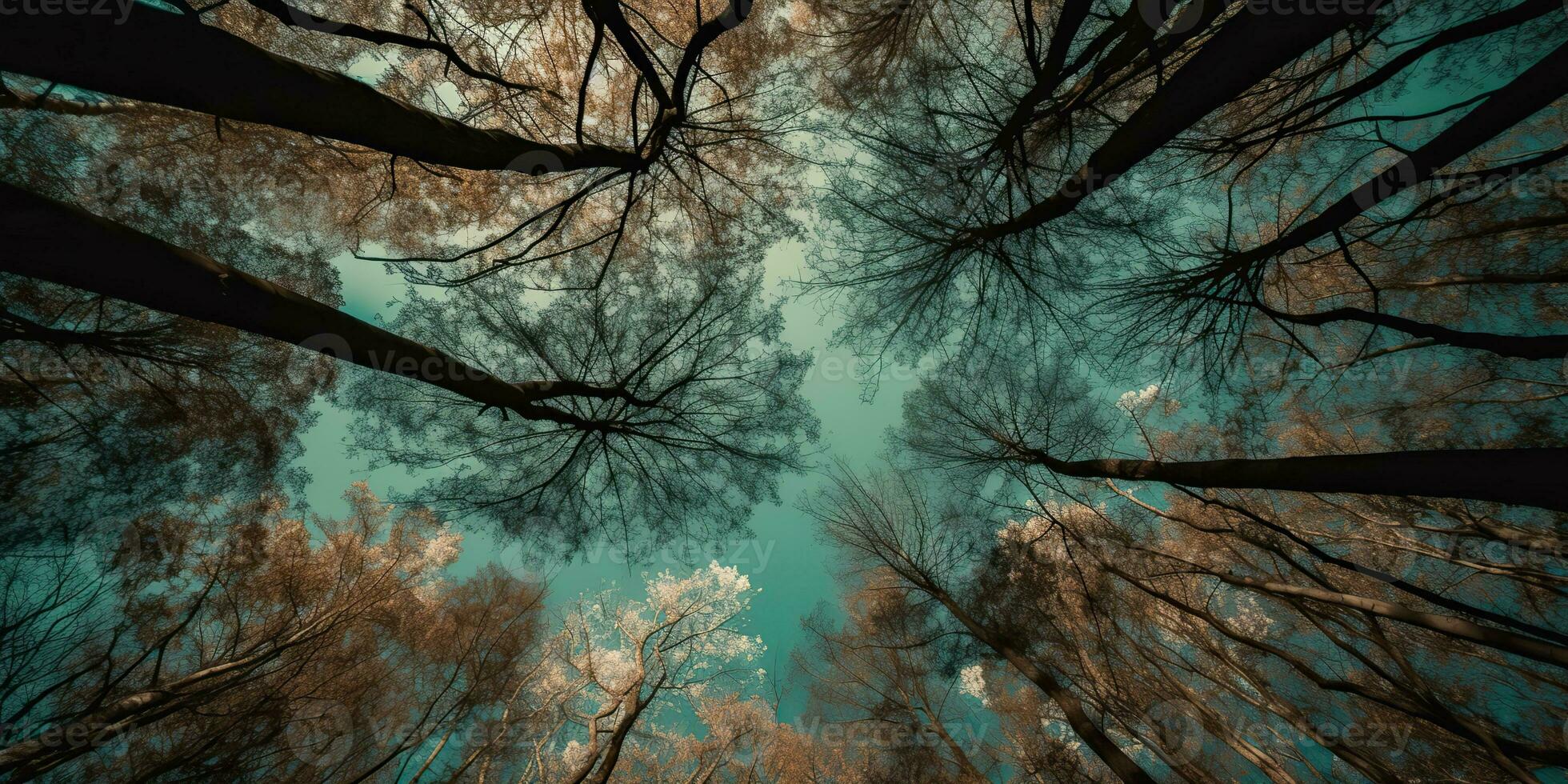 AI Generated. AI Generative. Nature wild outdoor forest trees looking up view with sunny ray. Adventure travel trekking inspiration. Graphic Art photo