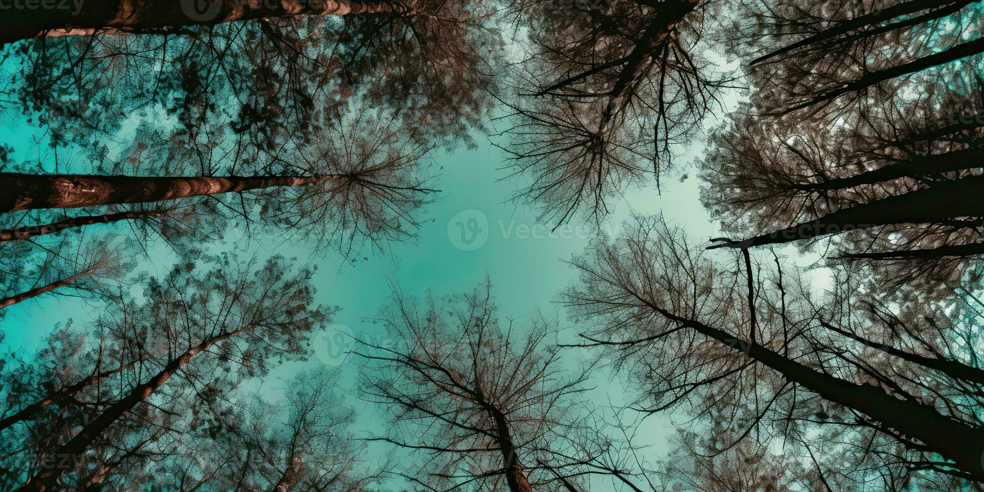 AI Generated. AI Generative. Nature wild outdoor forest trees looking up view with sunny ray. Adventure travel trekking inspiration. Graphic Art photo