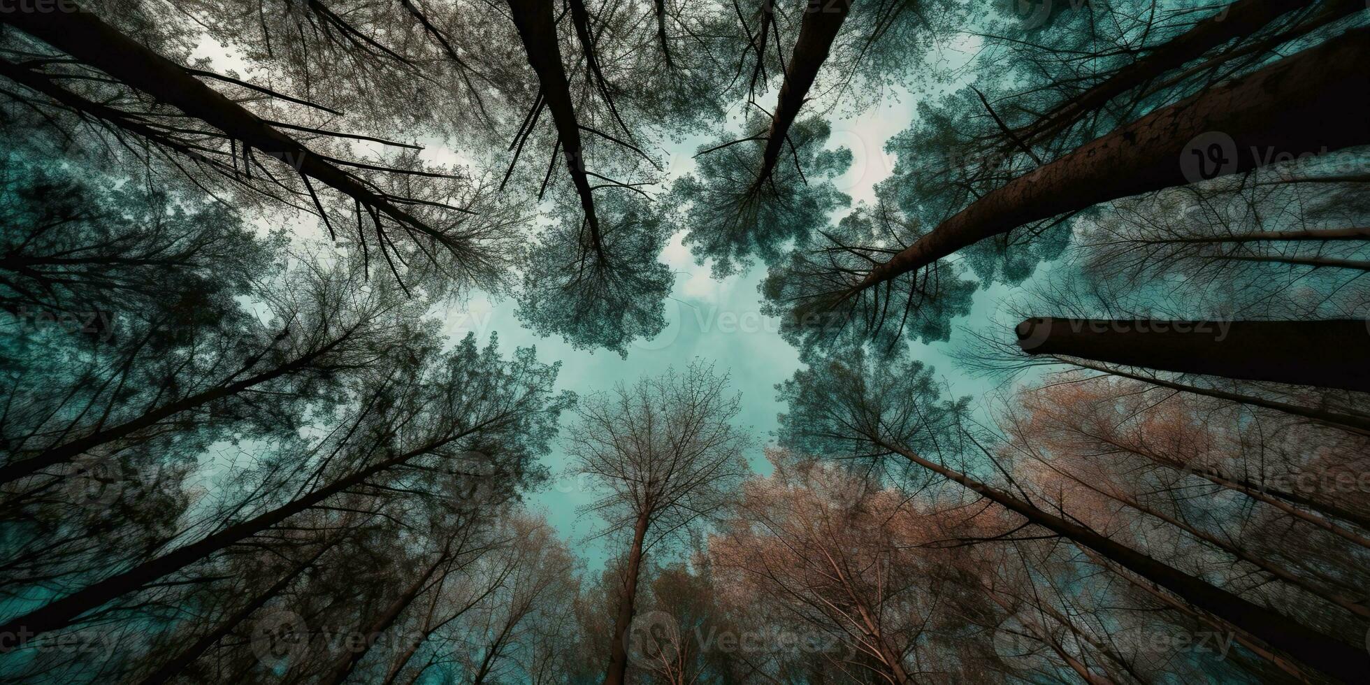 AI Generated. AI Generative. Nature wild outdoor forest trees looking up view with sunny ray. Adventure travel trekking inspiration. Graphic Art photo