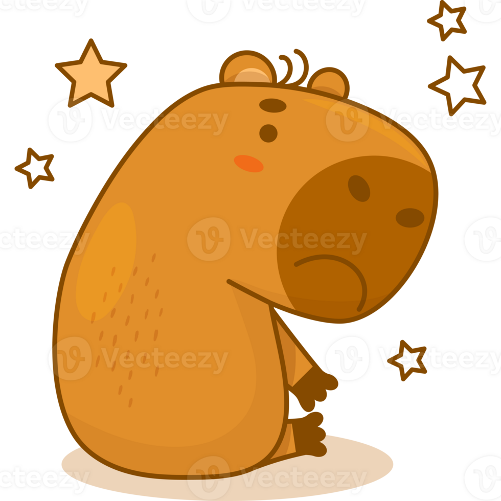 Sad  cute capybara png