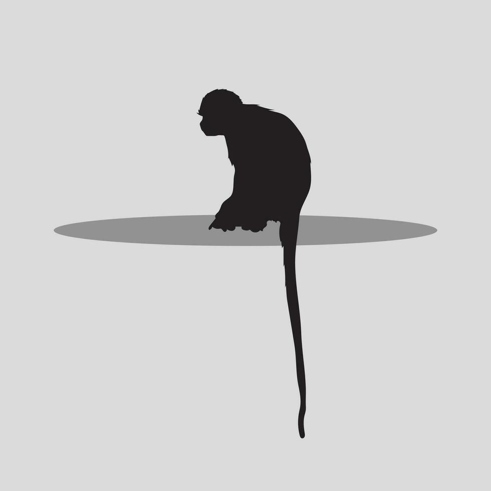 Monkey Vecrtor image vector