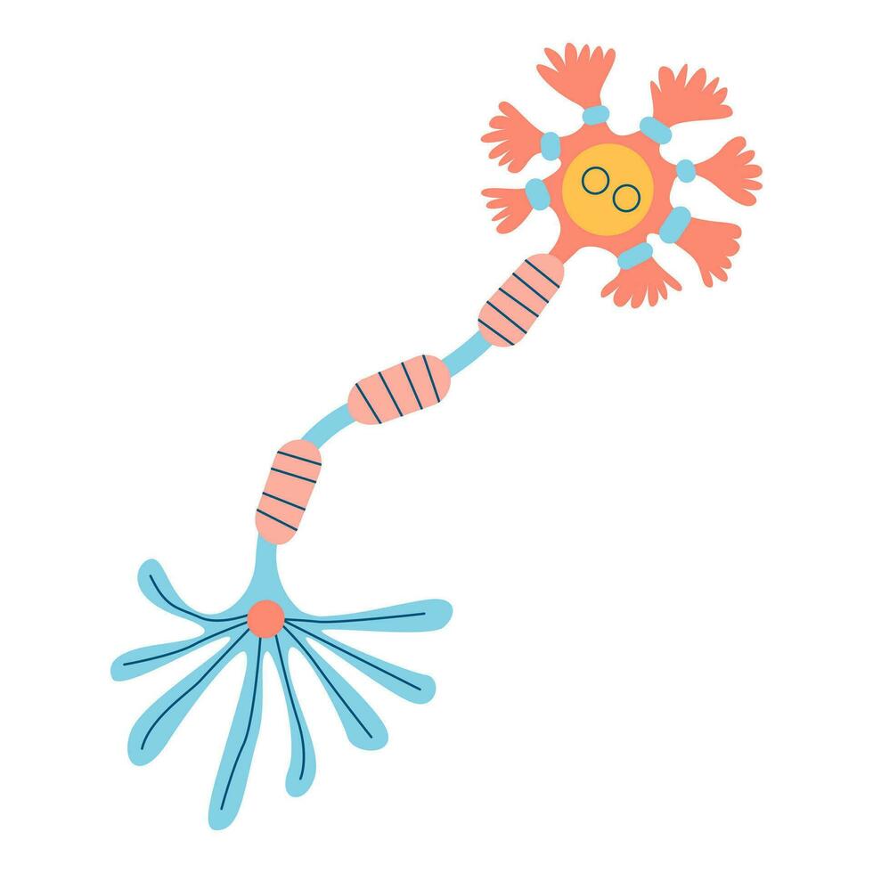 Nerve cell vector illustration. Artificial neural network t