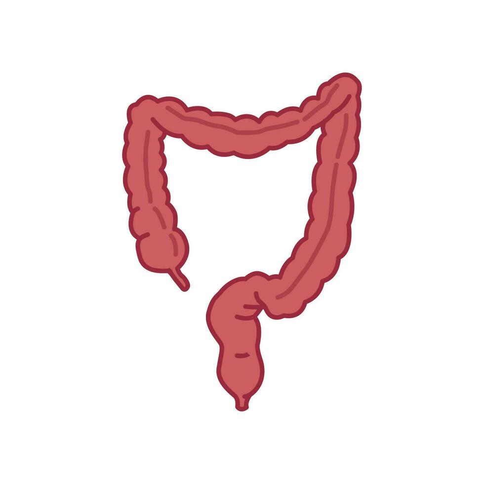 Large intestine icon. Intestines digestion system symbol. Healthy digestion part of internal body organ. Colitis, duodenum and colon tract. Vector illustration design.