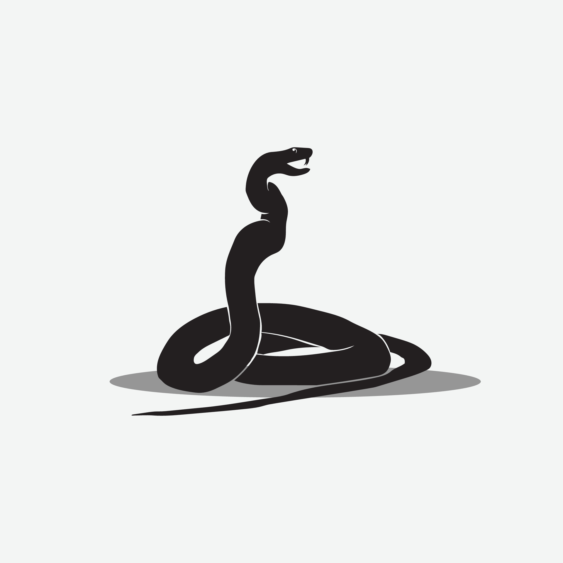 Snake vector png 29489827 Vector Art at Vecteezy