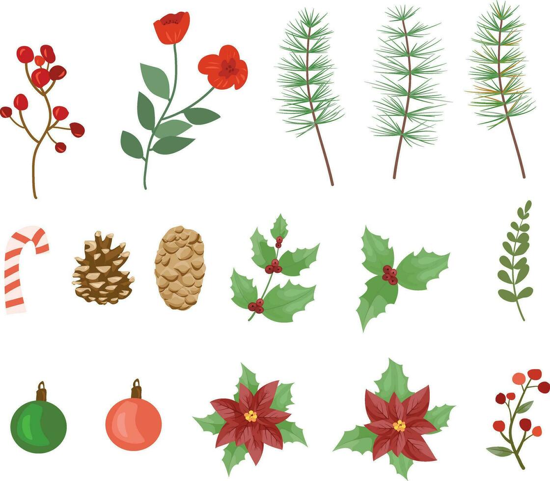Poinsettia Flowers and Christmas Floral Elements vector