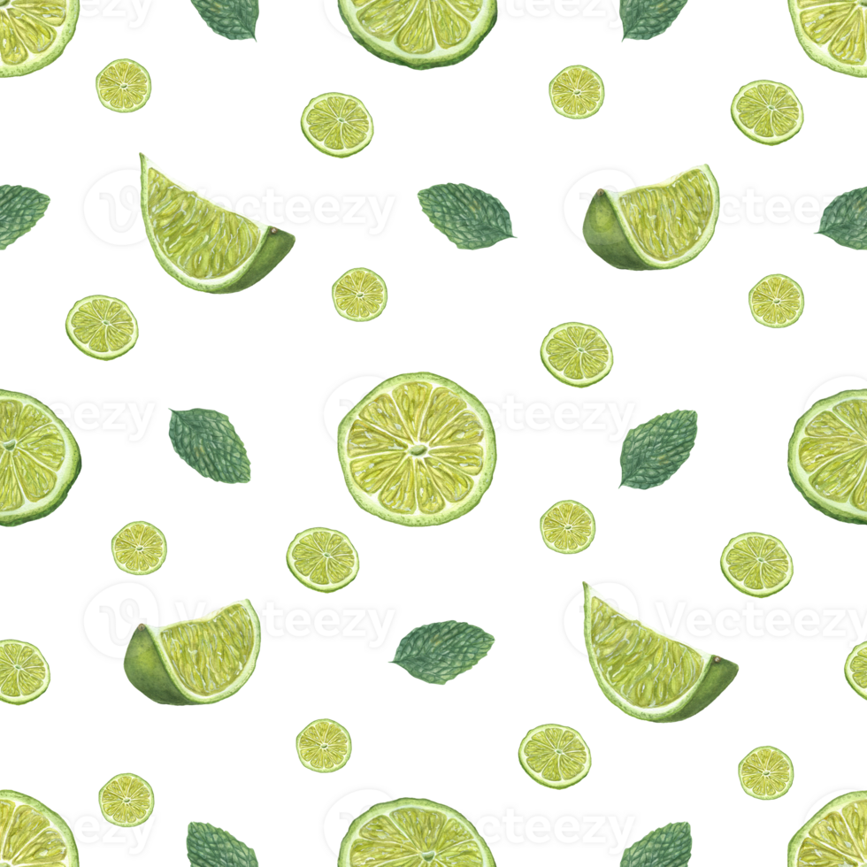 Ripe lime slices and green mint leaves. Seamless pattern for room decor, textile, print wrapping, scrapbook. Watercolor illustration of fresh citrus png