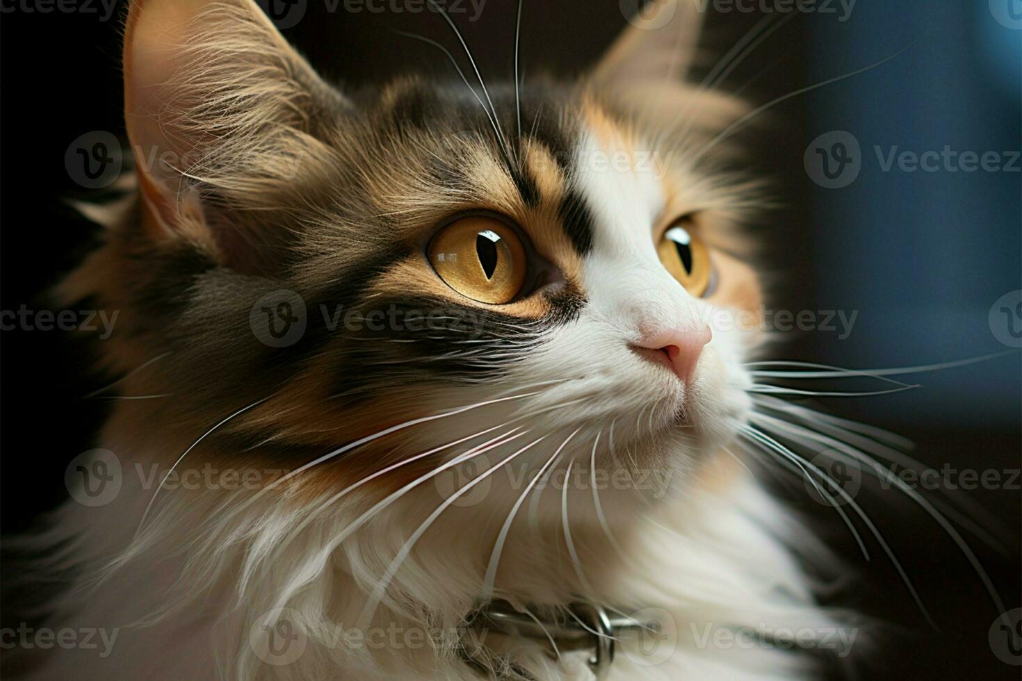 A stunning cat is the focus of this captivating close up portrait AI Generated photo