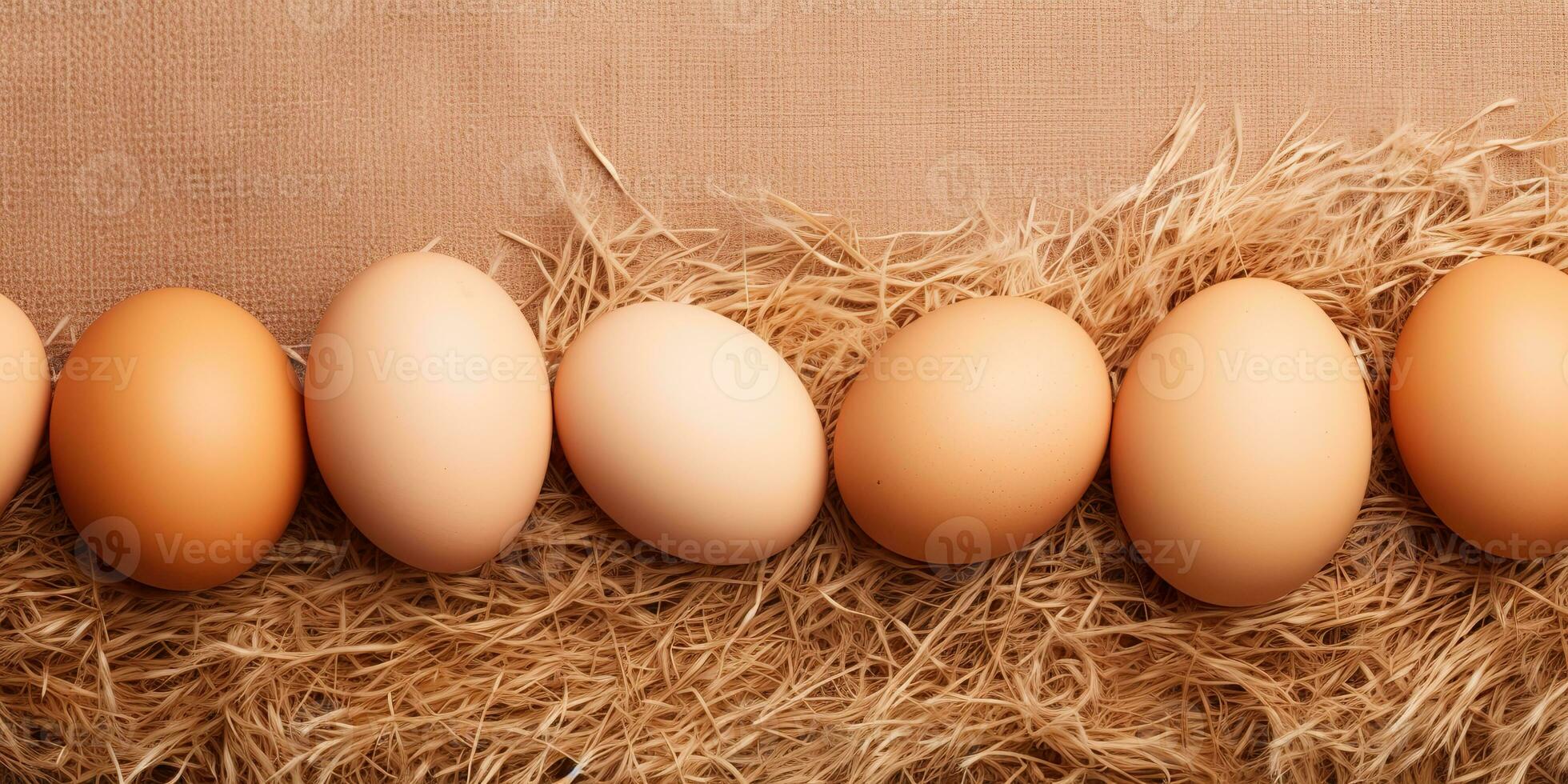 AI Generated. AI Generative. Eco organic chicken hen eggs template background mock up. Graphic Art photo