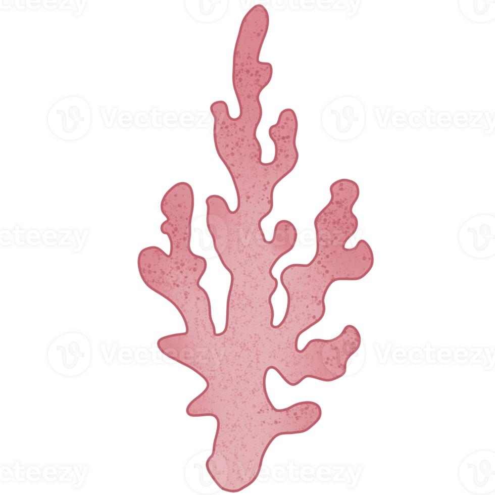 Hand drawn red coral png
