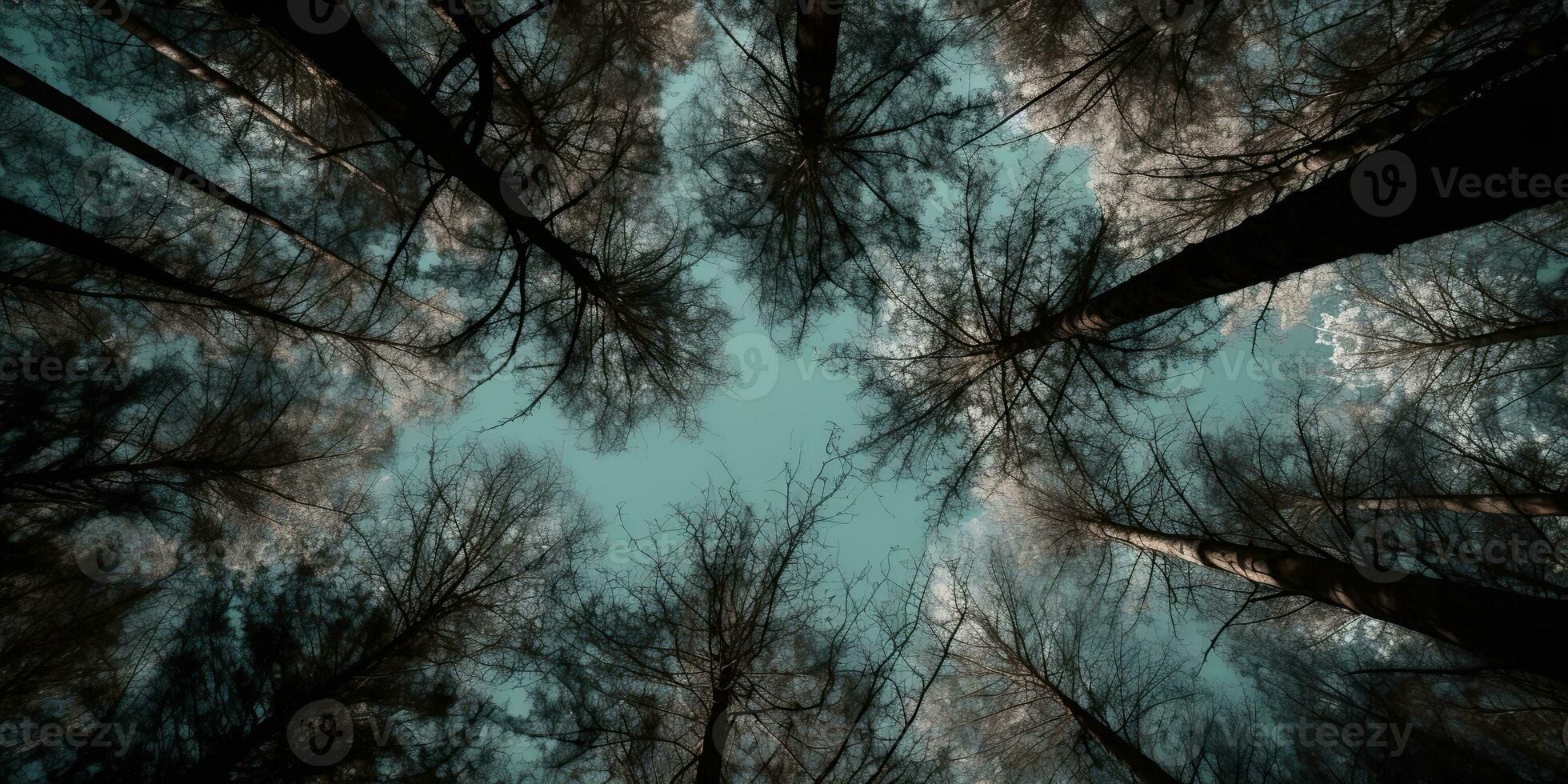 AI Generated. AI Generative. Nature wild outdoor forest trees looking up view with sunny ray. Adventure travel trekking inspiration. Graphic Art photo