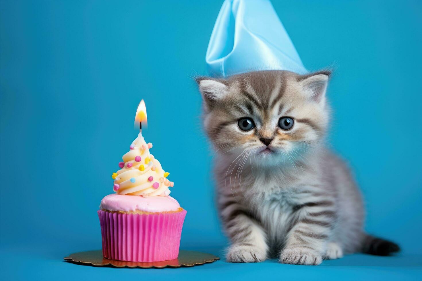Cute kitten with birthday cupcake and hat on blue background, Cute kitten with birthday hat and cupcake on blue background, AI Generated photo