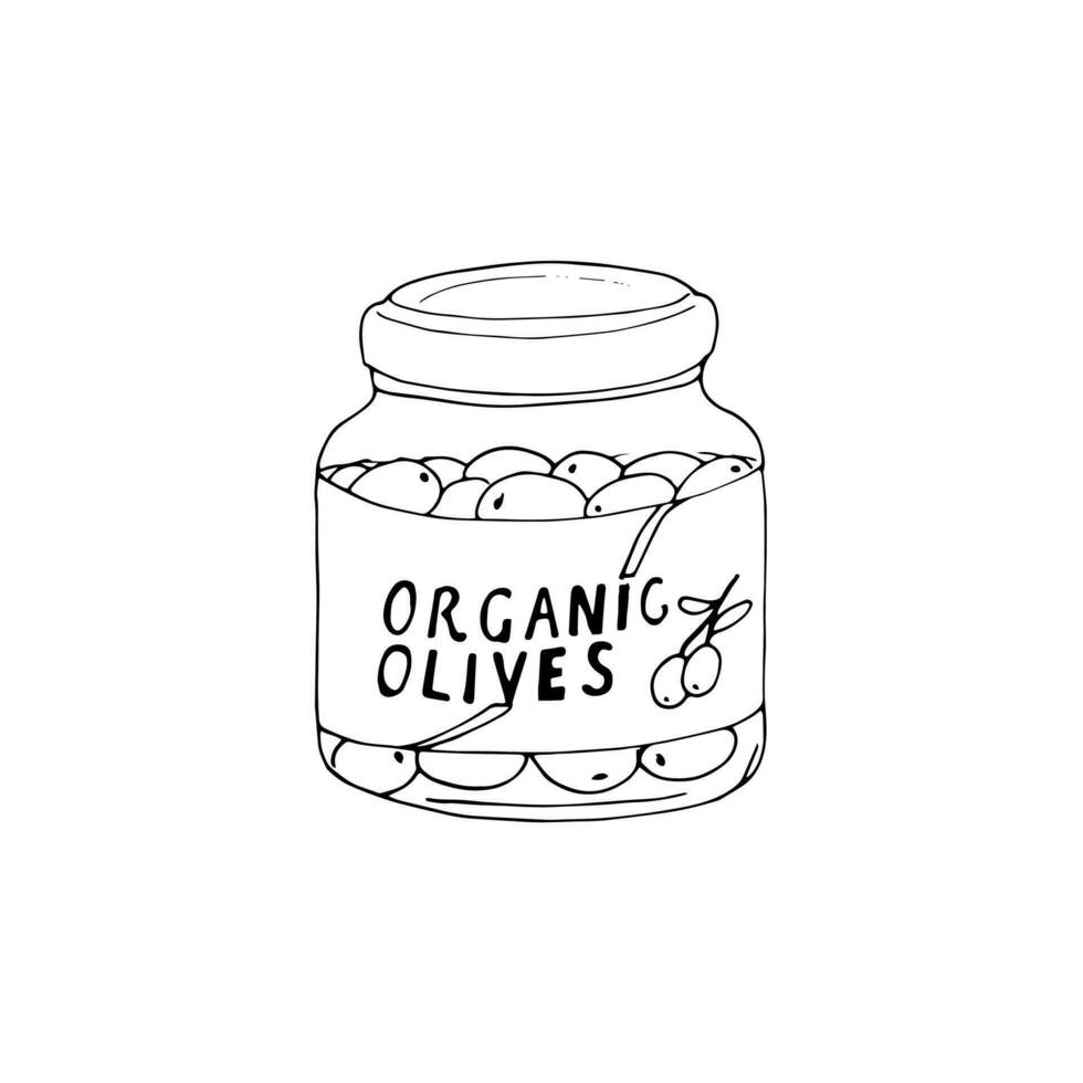 Hand-drawn olives in brine. Olives in a jar. Isolated food illustration on a white background vector
