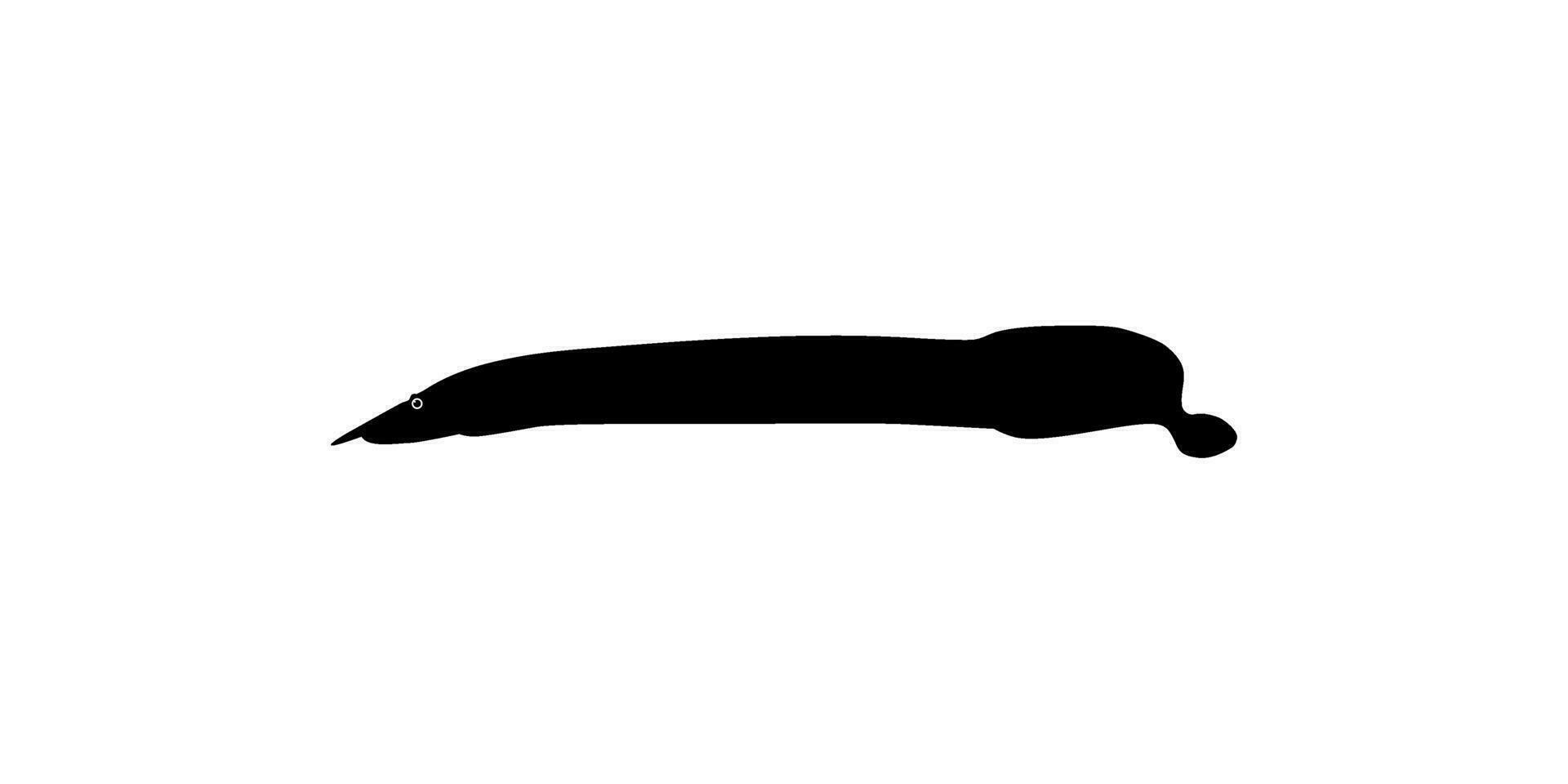 Silhouette of the fire eel, Mastacembelus erythrotaenia, is a relatively large species of spiny eel, can use for art Illustration, logo type, pictogram, website, or graphic design element. Vector