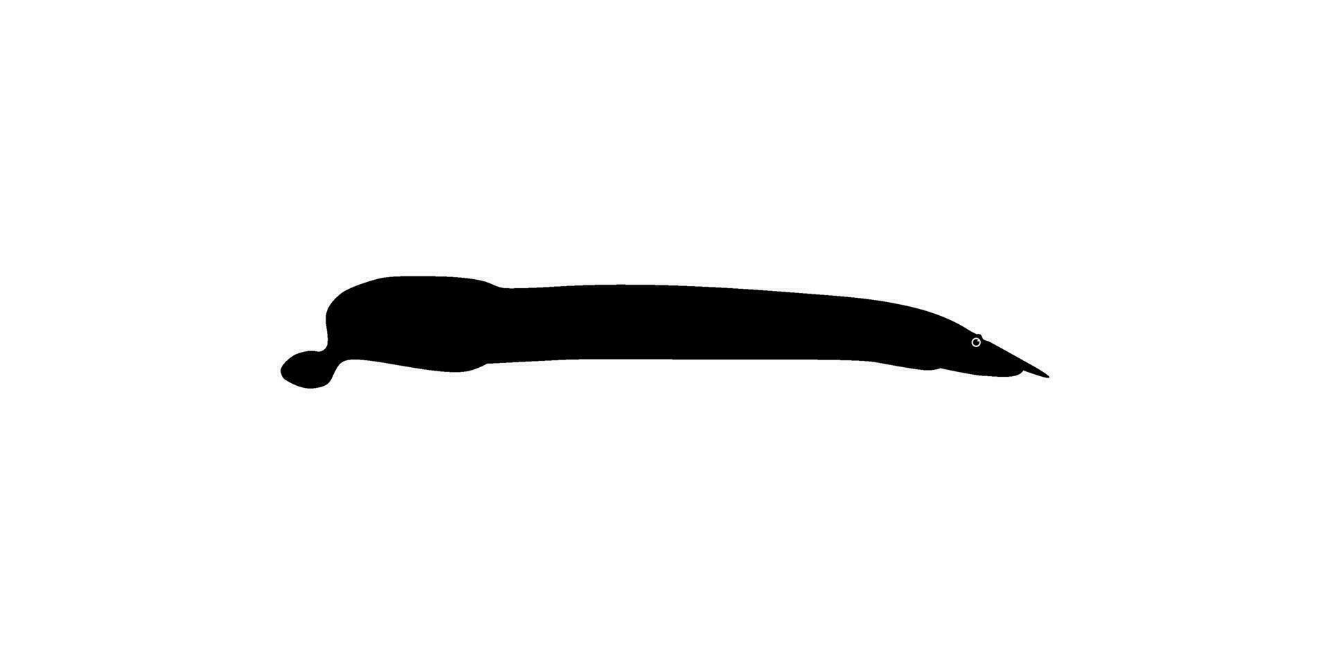 Silhouette of the fire eel, Mastacembelus erythrotaenia, is a relatively large species of spiny eel, can use for art Illustration, logo type, pictogram, website, or graphic design element. Vector