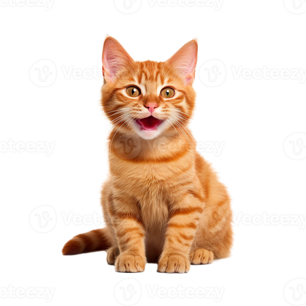 Happy cat isolated on transparent background, created with generative AI png