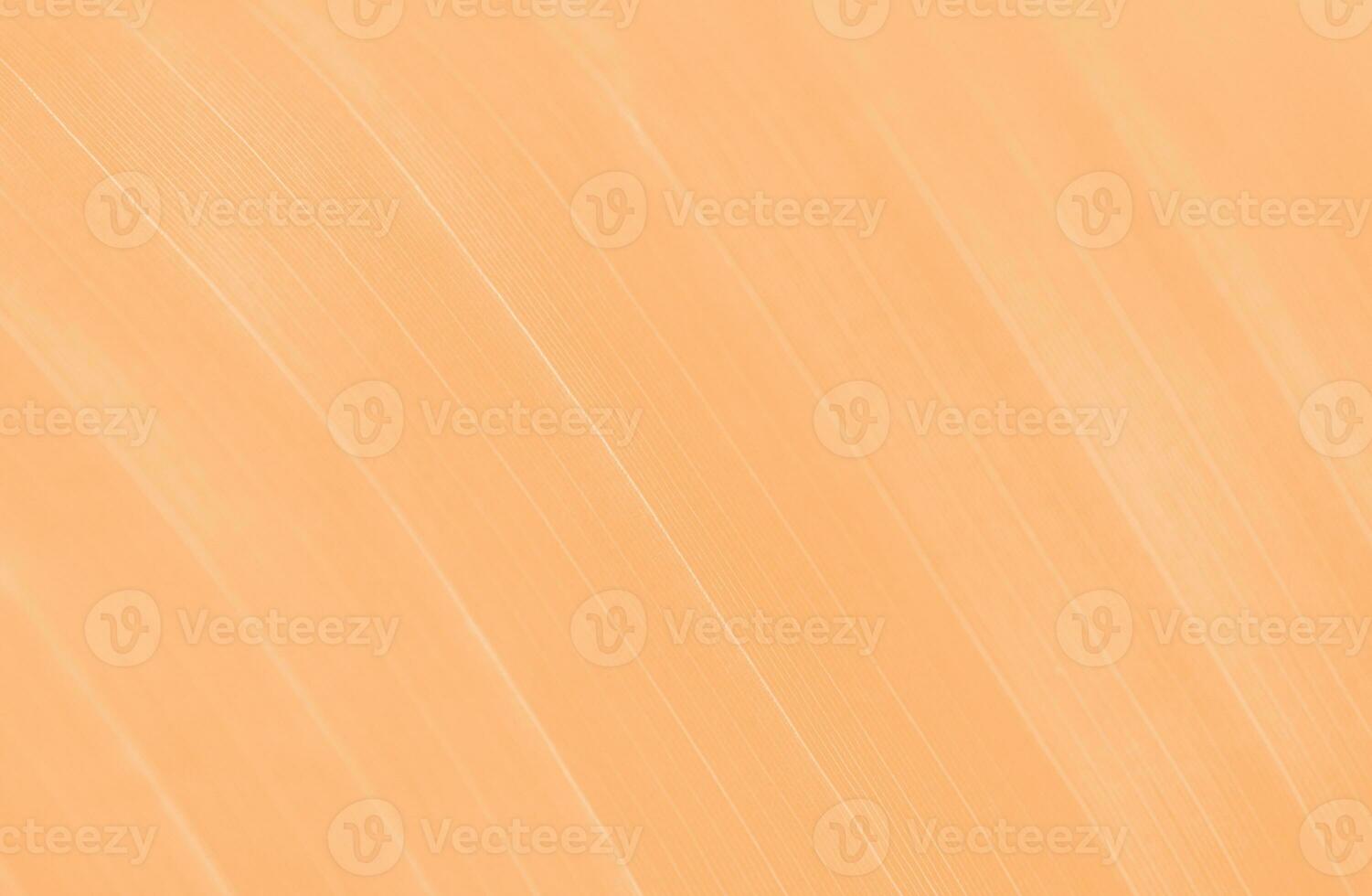 Abstract Modern Illustration Stripes Background Design photo