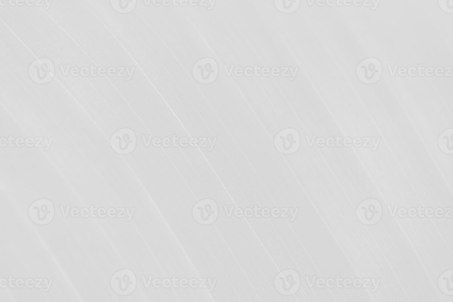 Abstract Modern Illustration Stripes Background Design photo