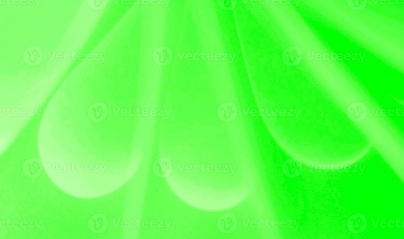 curve paper with modern design background photo