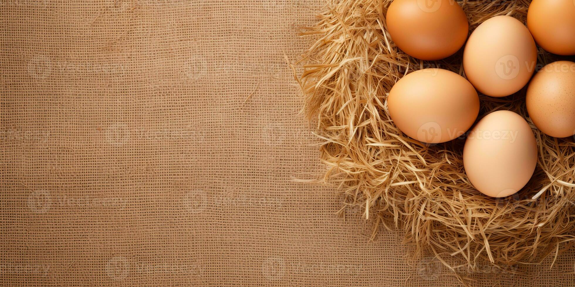 AI Generated. AI Generative. Eco organic chicken hen eggs template background mock up. Graphic Art photo