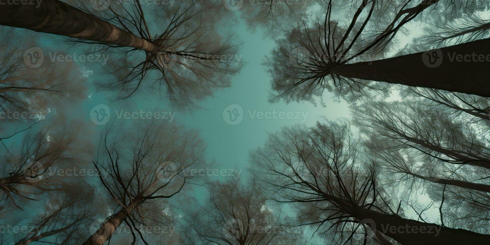 AI Generated. AI Generative. Nature wild outdoor forest trees looking up view with sunny ray. Adventure travel trekking inspiration. Graphic Art photo