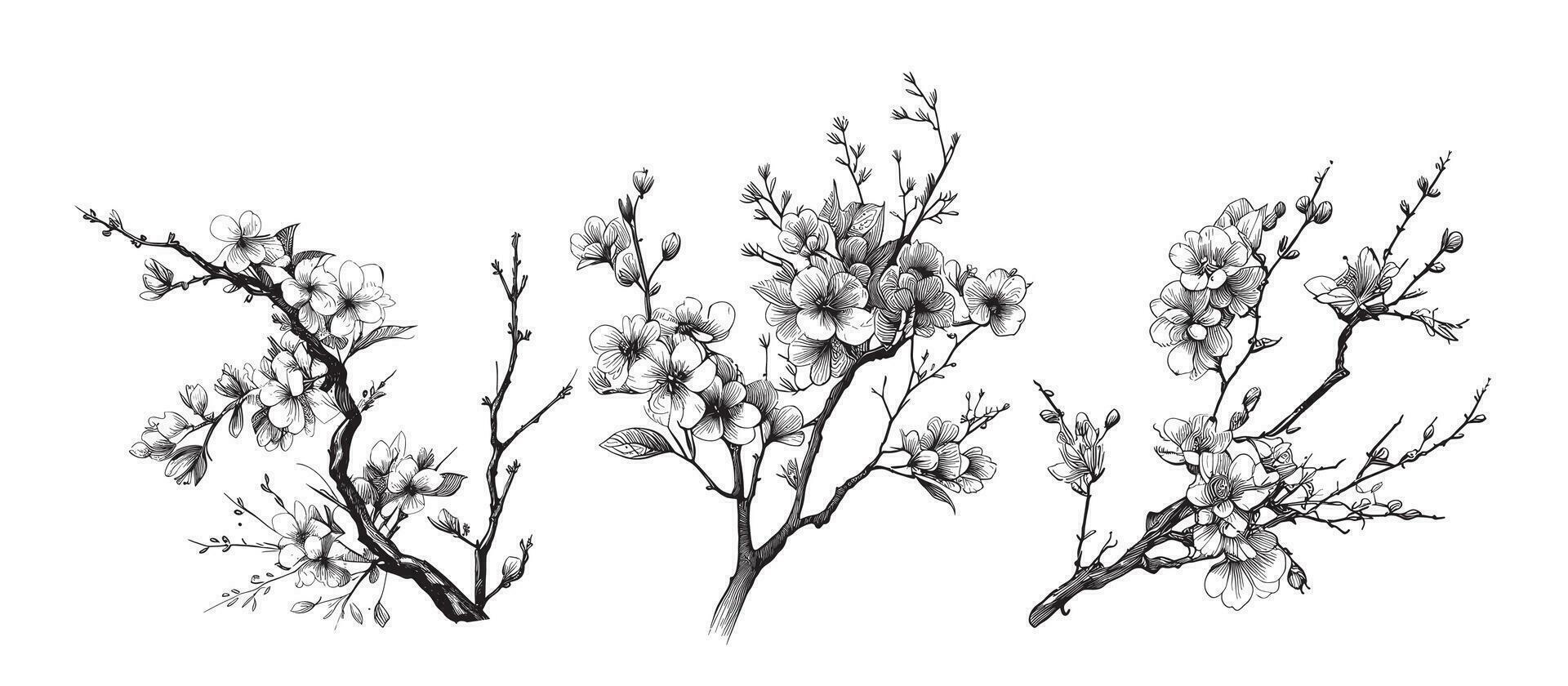 Cherry branch sakura set sketch hand drawn in doodle style Vector illustration