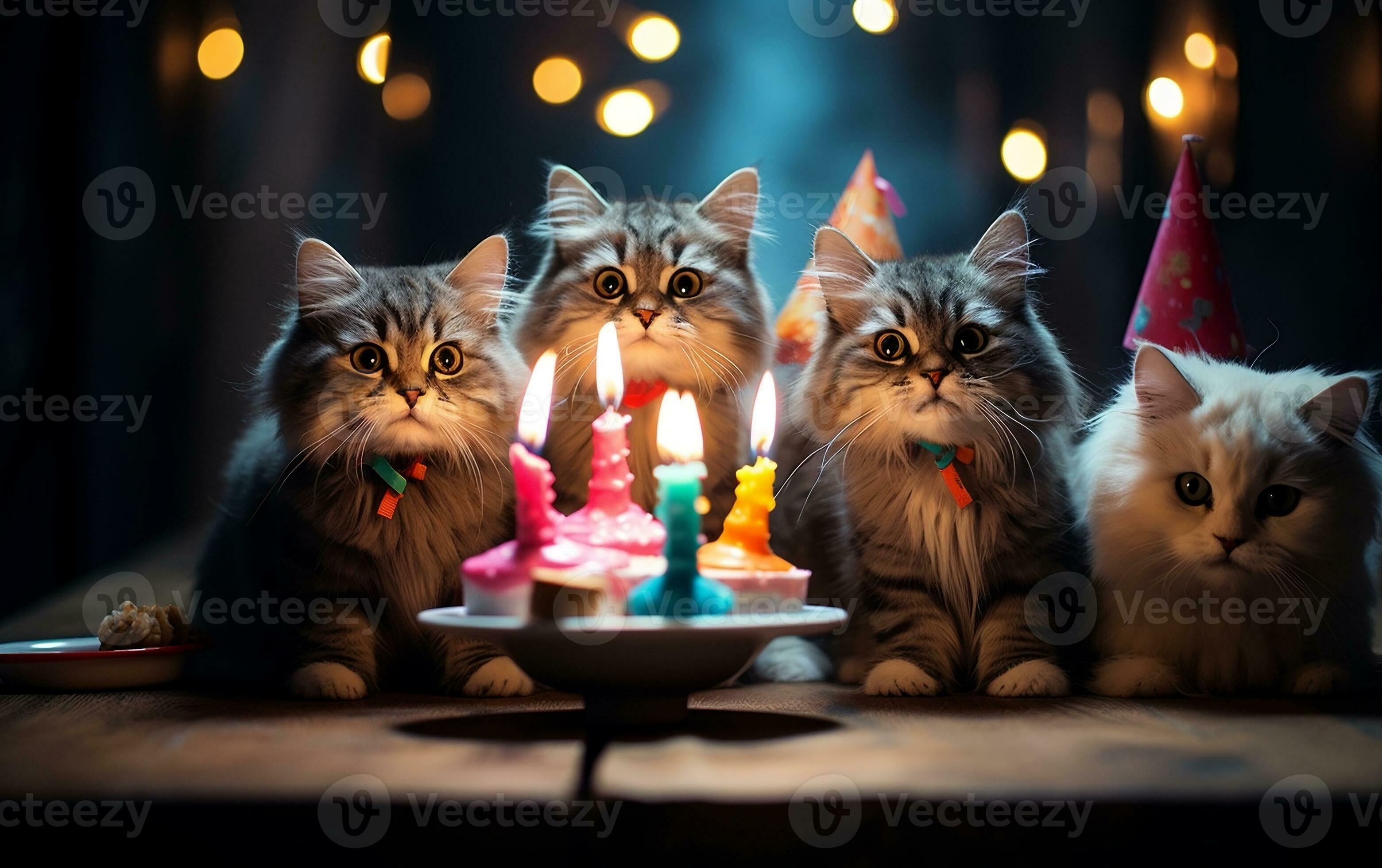 Pinterest Keywords  Cat birthday, Cat icon, Pinterest keywords
