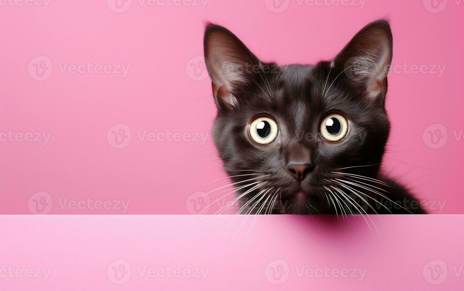 Astonished Cat Large Eyes and Open Mouth, Generative Ai 29505235 Stock