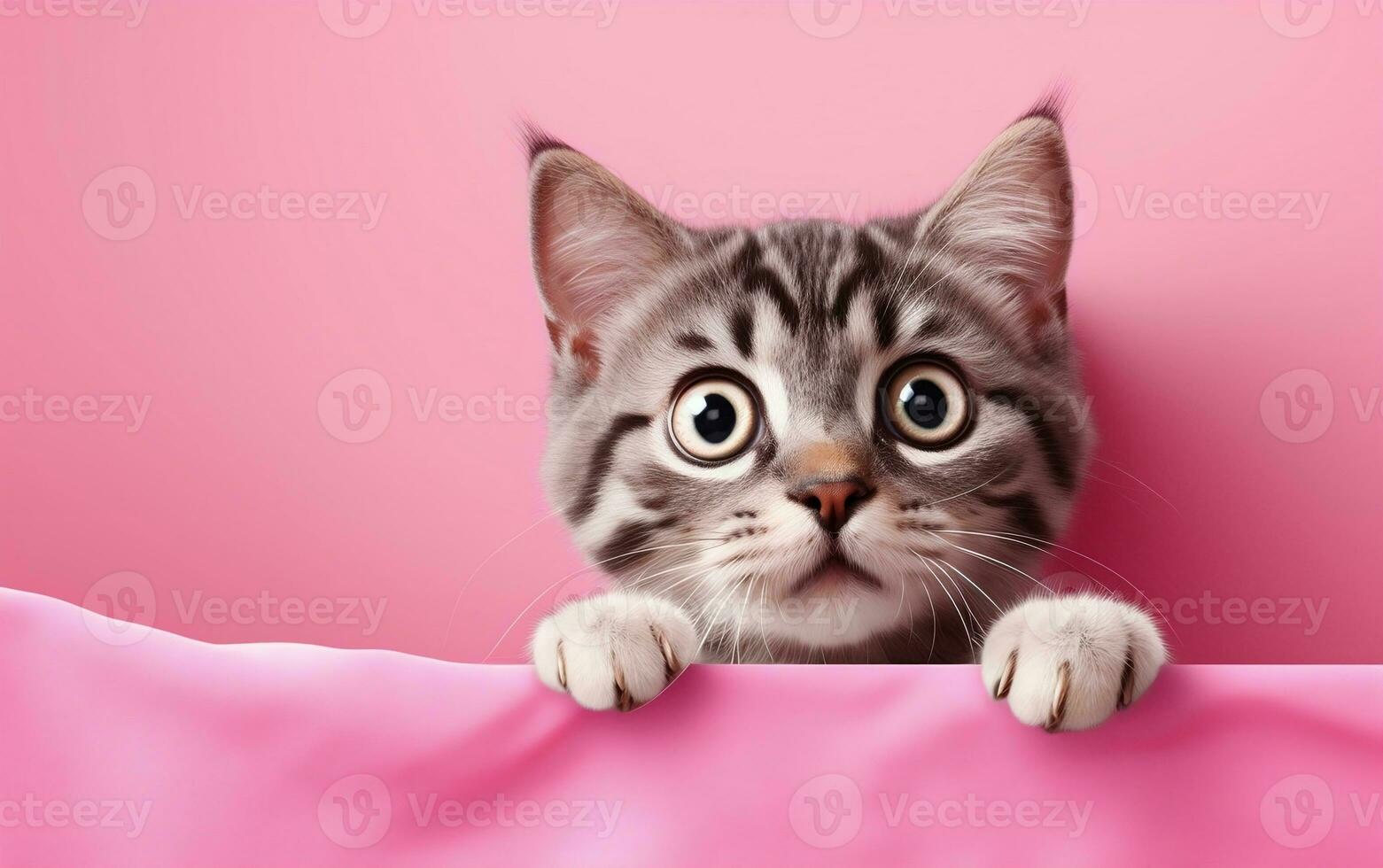 Astonished Cat Large Eyes and Open Mouth, Generative Ai 29505257 Stock