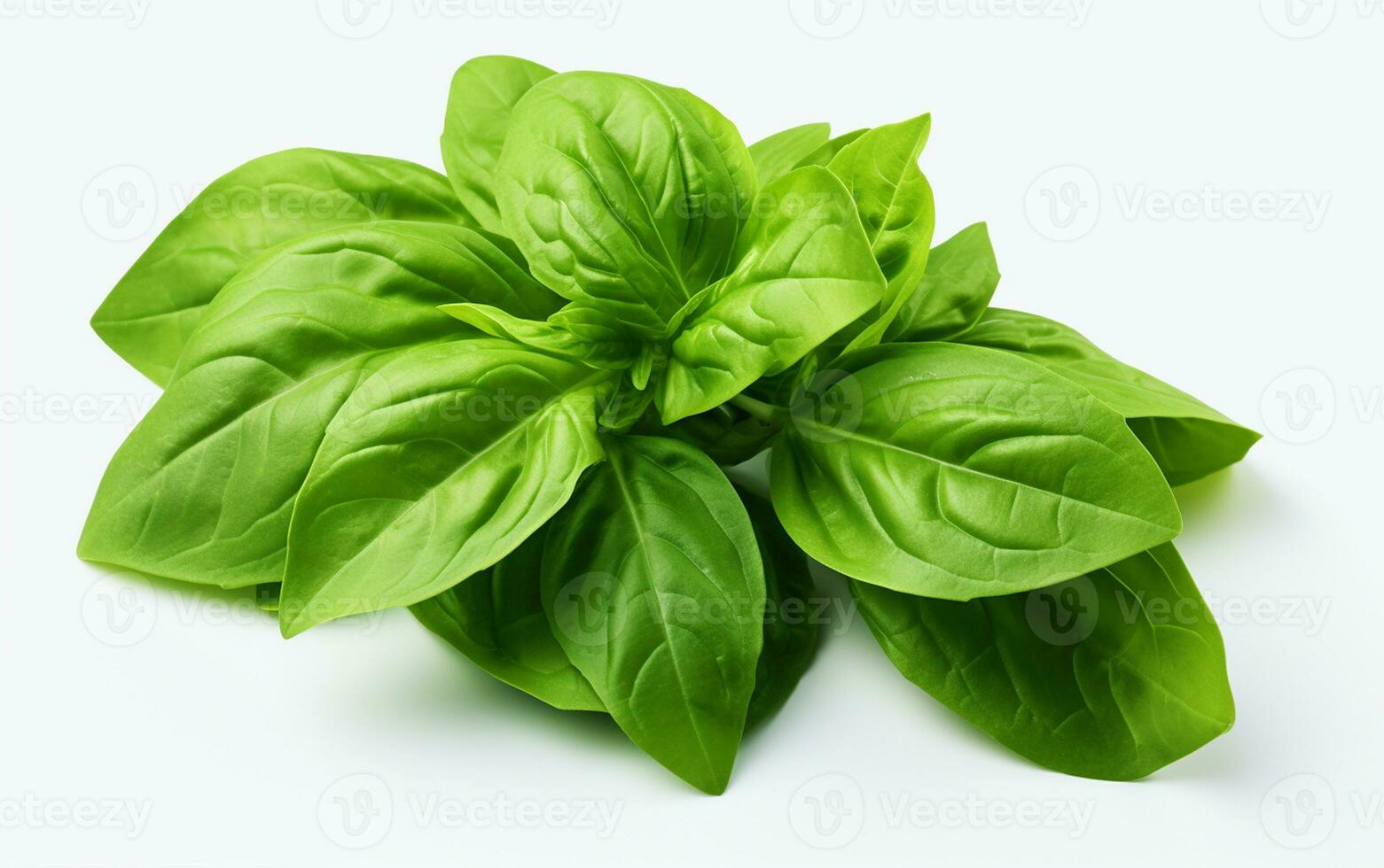 Basil Leaves on a White Background. Generative By Ai photo
