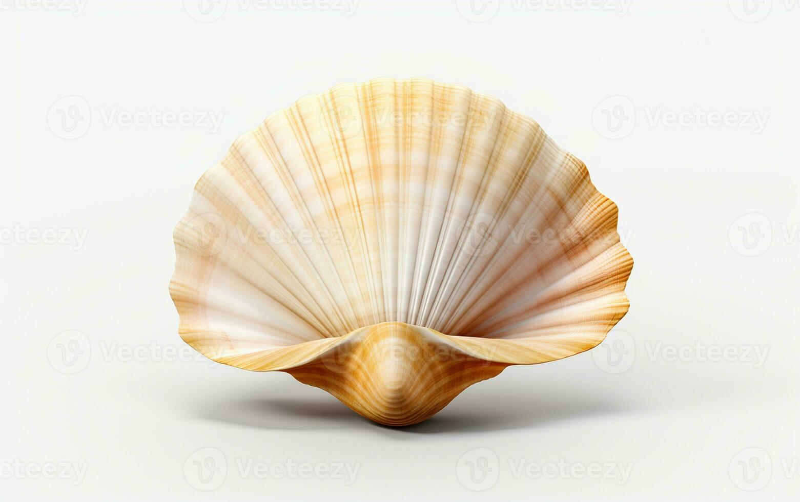 A Sea Shell on a White Background. Generative By Ai photo