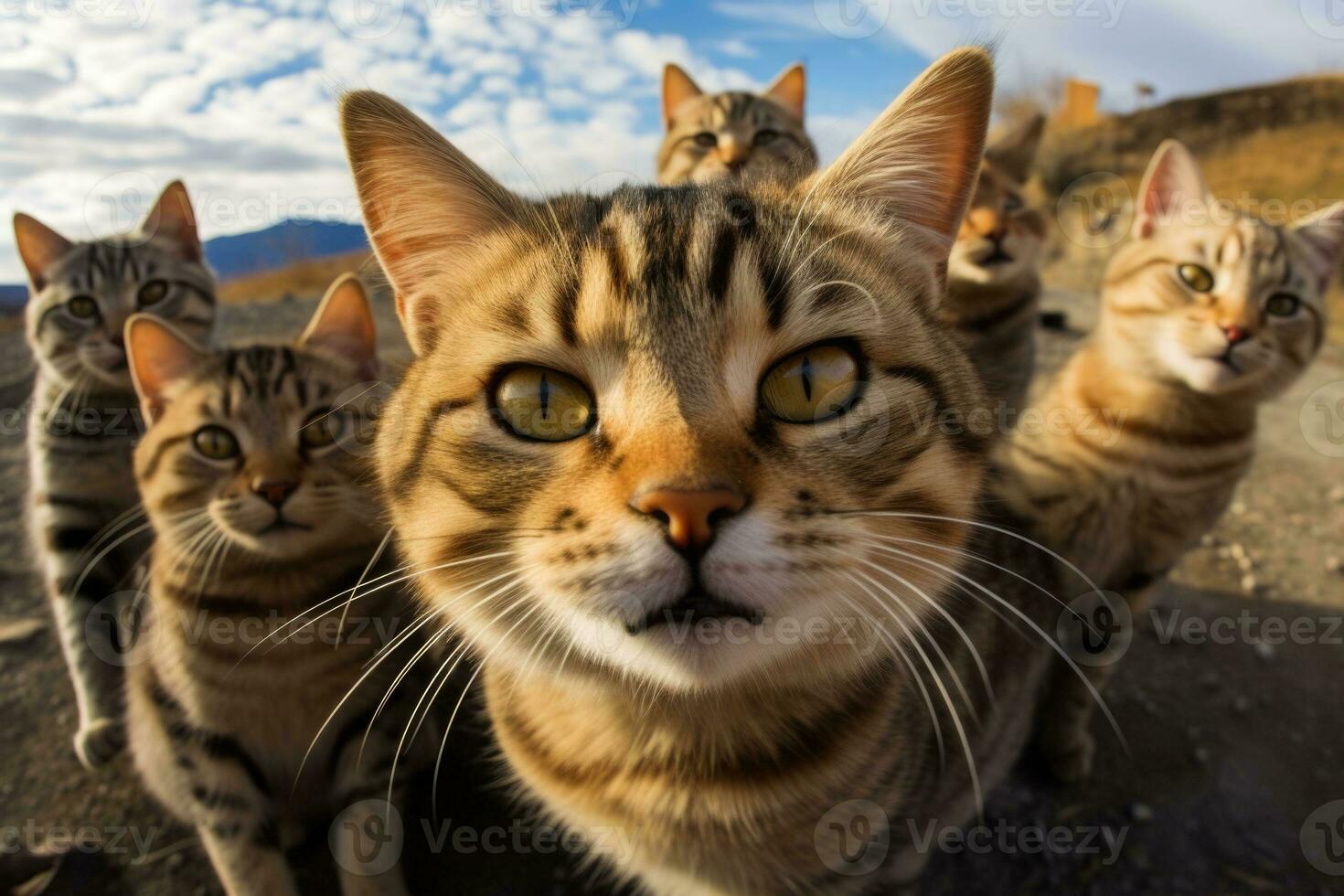 A group of cats taking a selfie on a blurred background. Generative AI photo