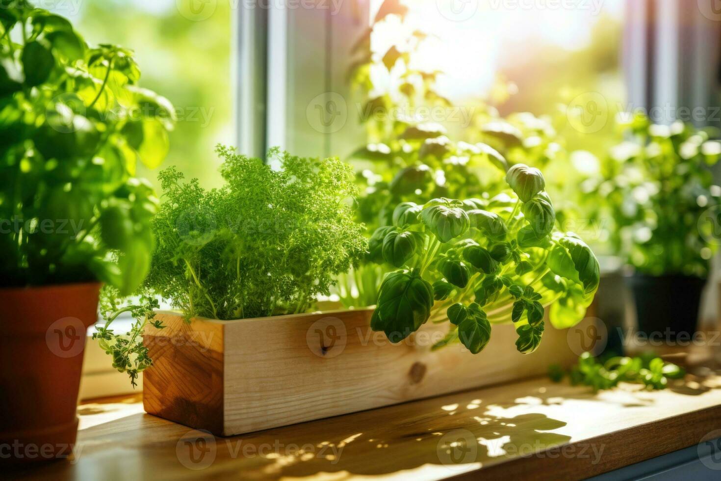 A fresh small culinary herb garden on a sunny windowsill in the kitchen. Generative AI photo