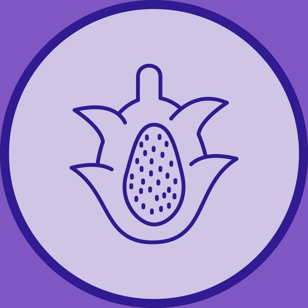 Dragon Fruit Vector Icon
