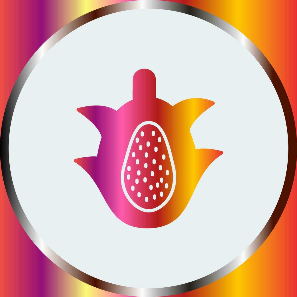 icono de vector de fruta de dragón