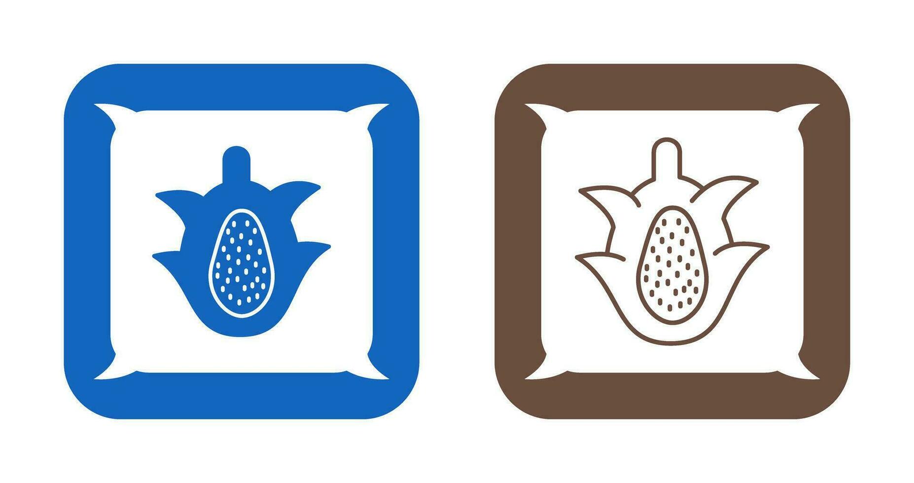 Dragon Fruit Vector Icon