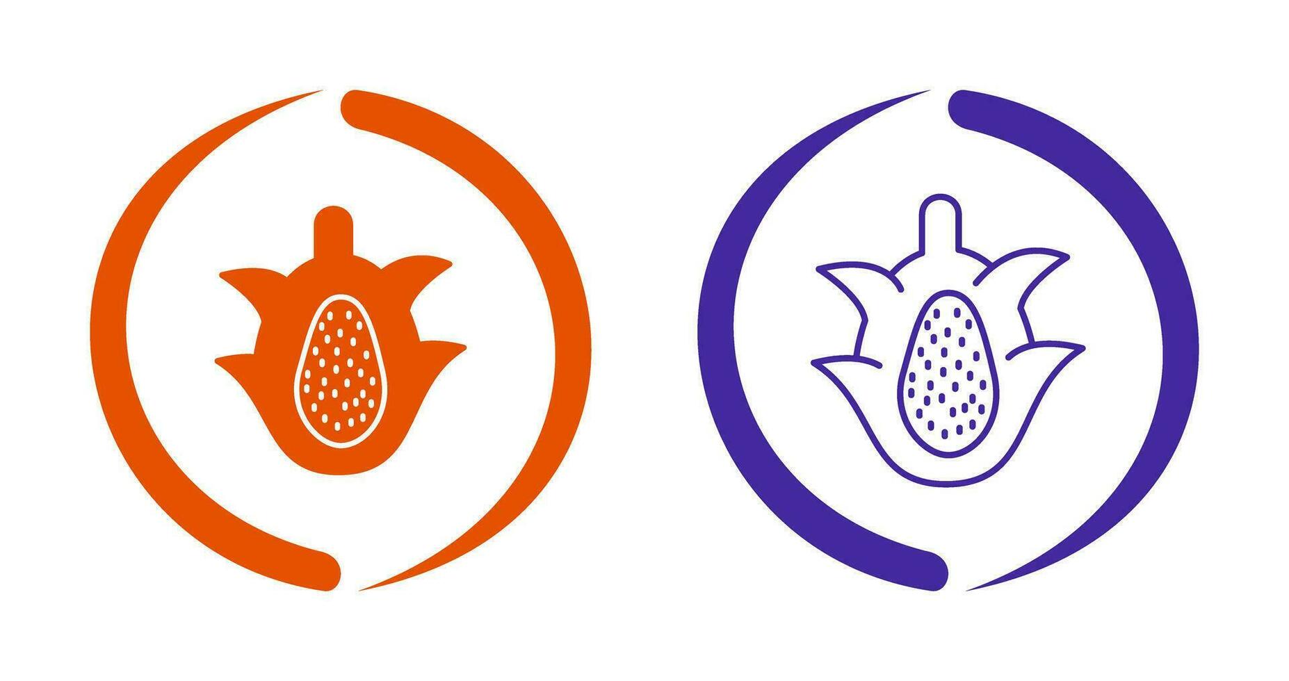 Dragon Fruit Vector Icon