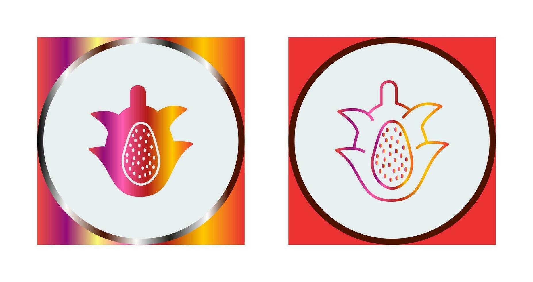 Dragon Fruit Vector Icon