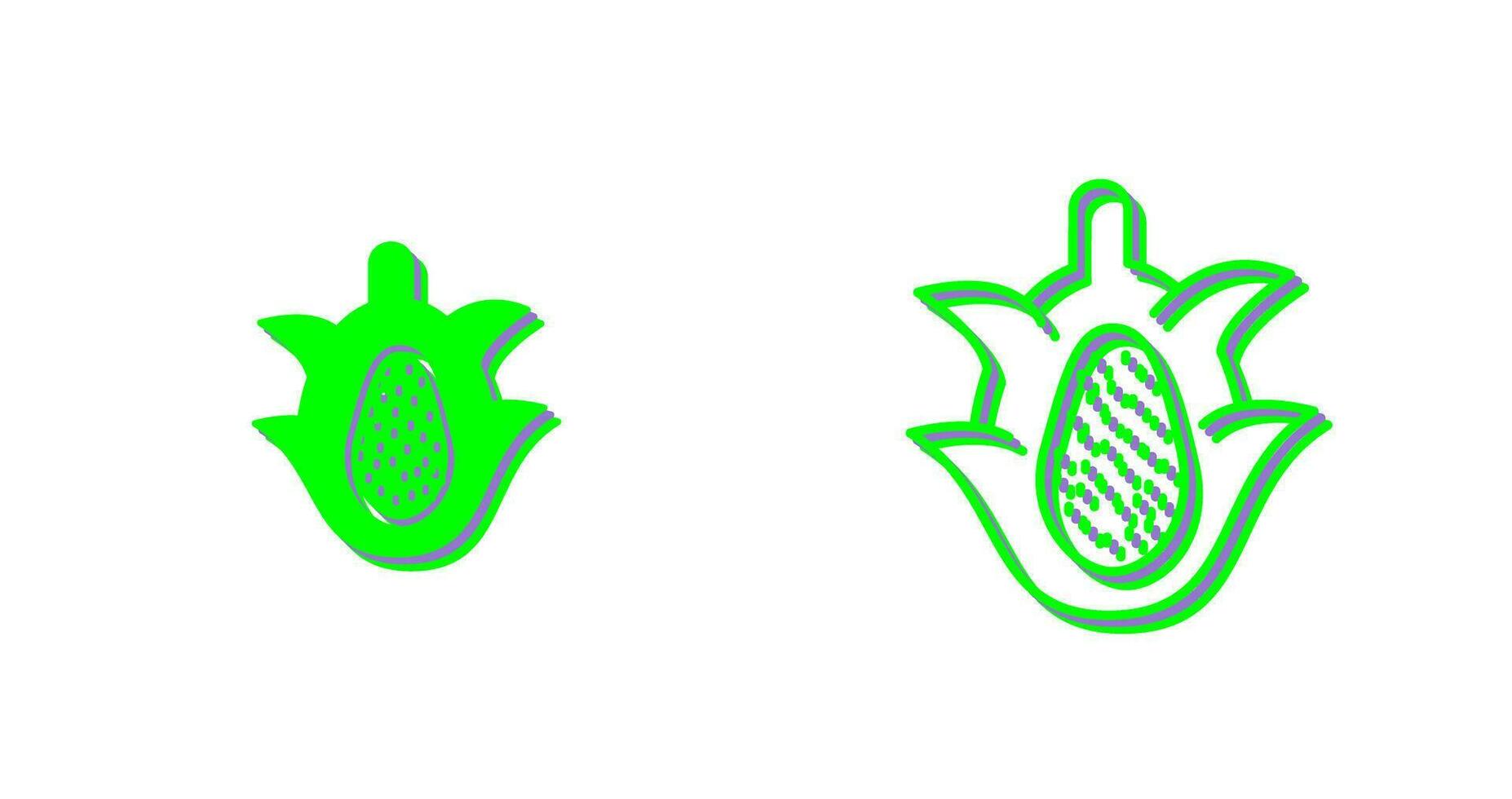 Dragon Fruit Vector Icon