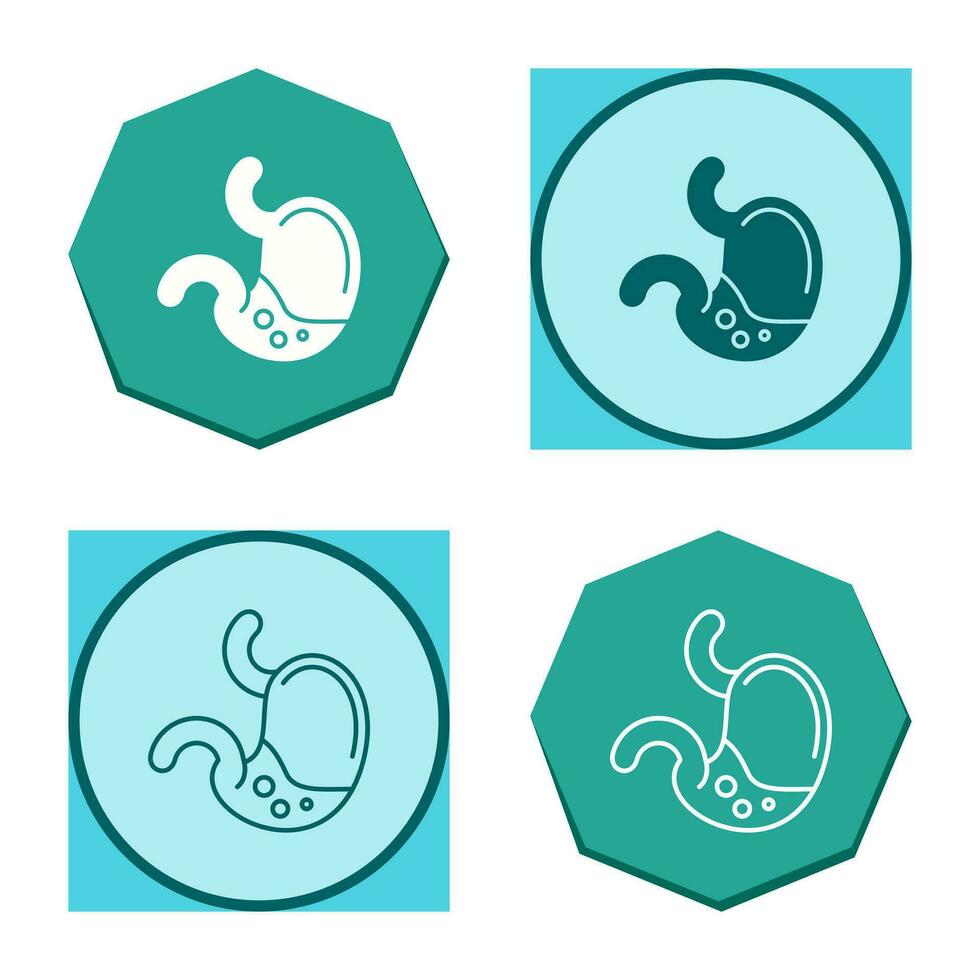 Stomach Vector Icon