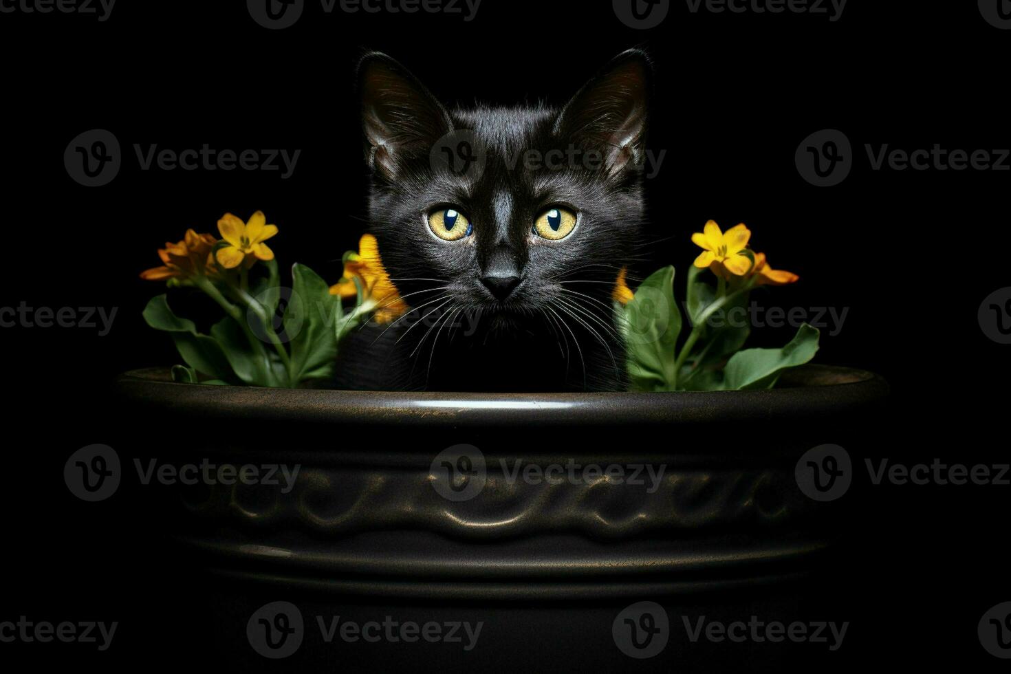 retrato de un linda gato en un maceta en un negro antecedentes. ai generado Pro foto