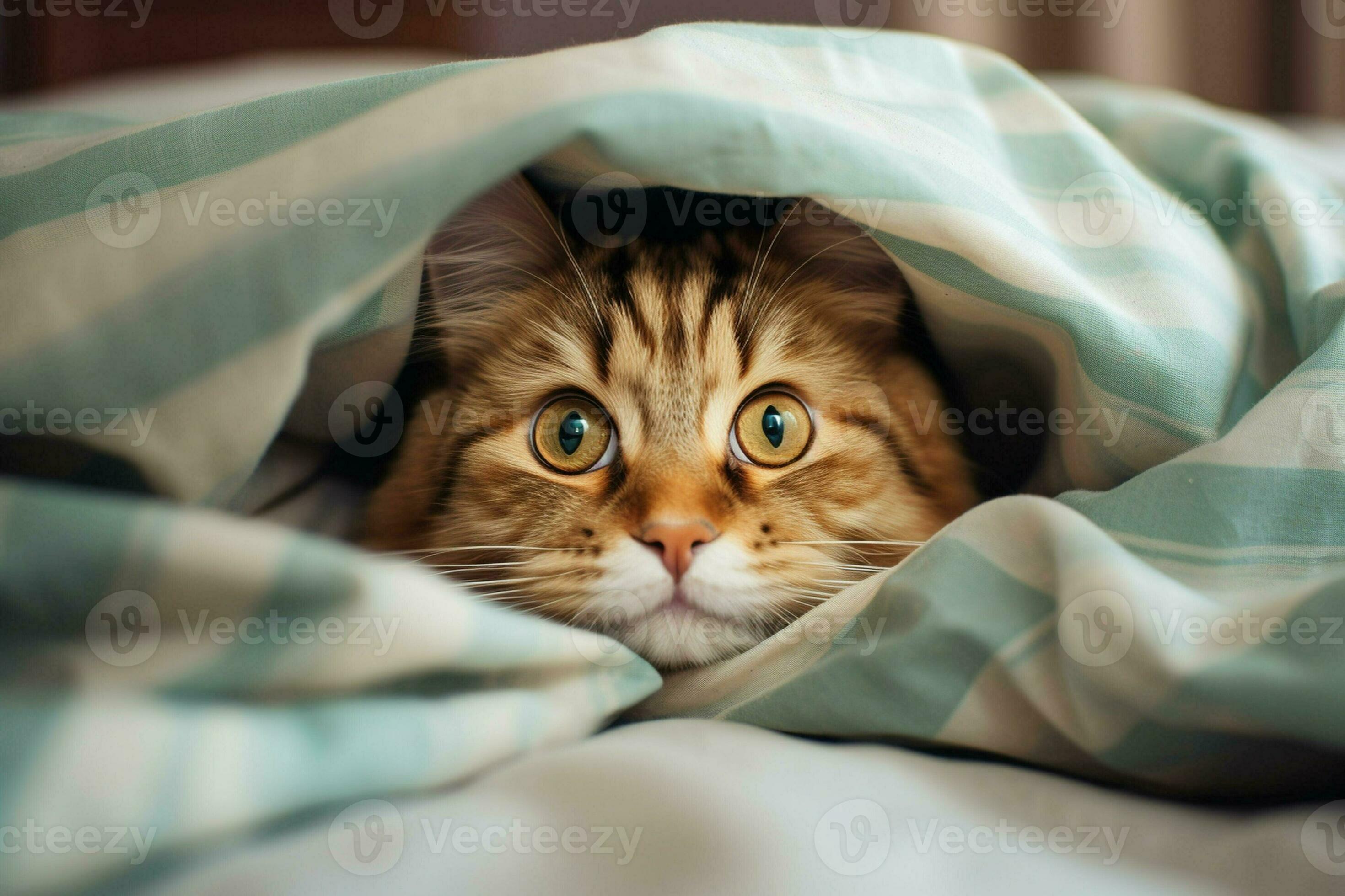 What Industry Leaders Are Hiding About The Strawberrytabby Leak - okqza5m