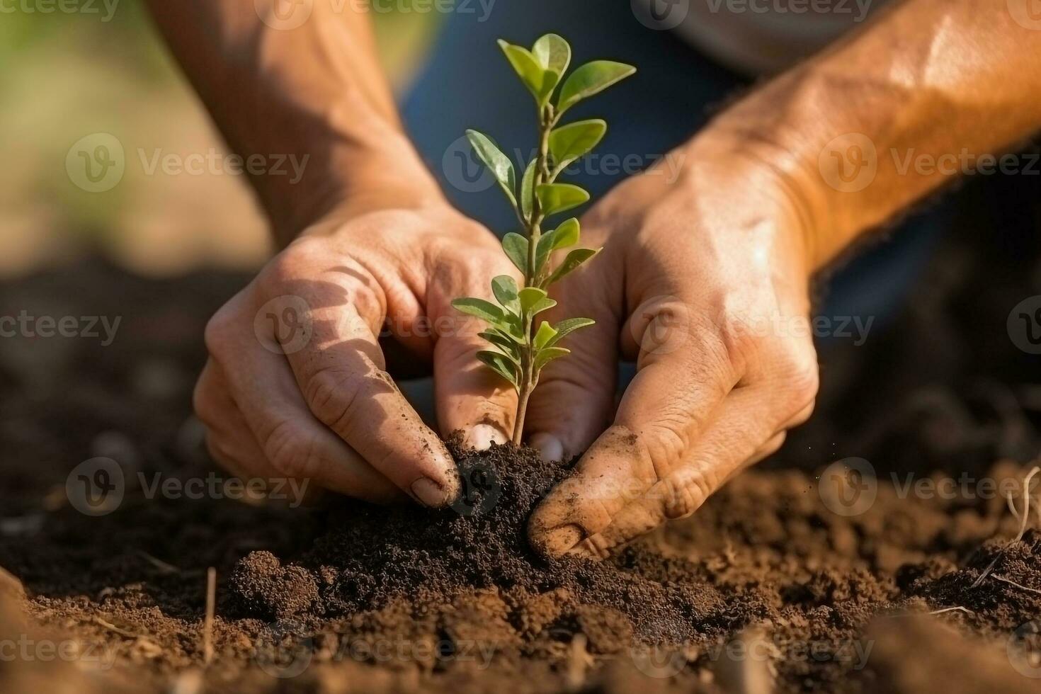 Gardeners plant trees in the garden.Generative Ai. photo